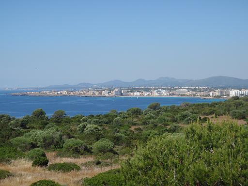 P5220236
