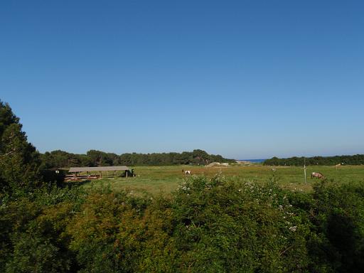 P5220329