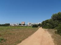 P5220254