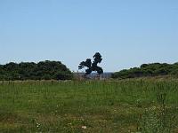P5220256