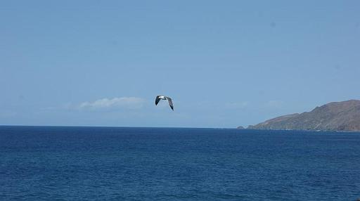 DSC07706