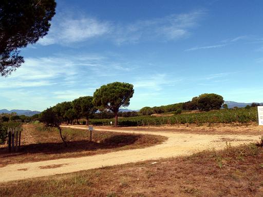Terra Remota 04
