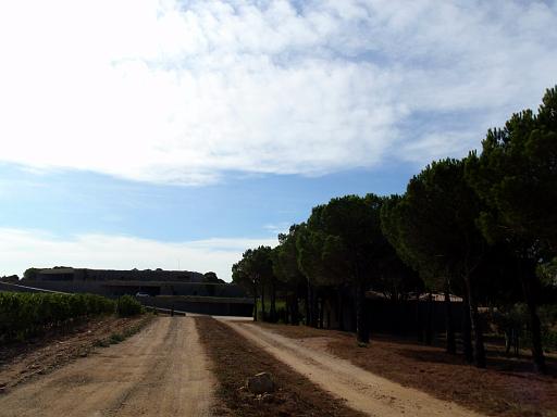 Terra Remota 05
