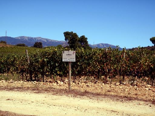 Terra Remota 09