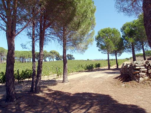 Terra Remota 15