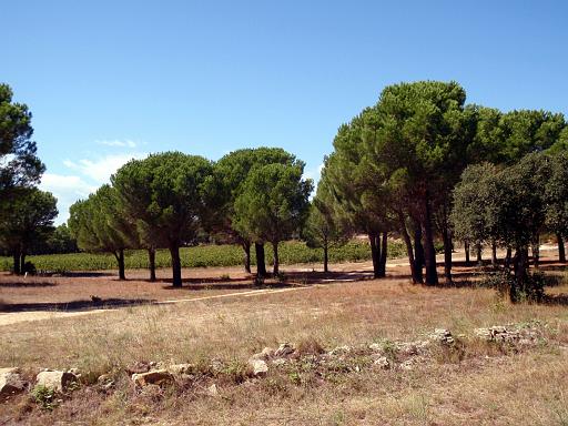 Terra Remota 16