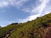 Hinterland 10