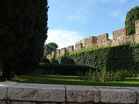 Perelada 06