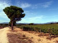 Terra Remota 02