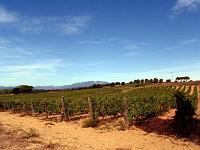 Terra Remota 03