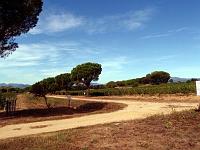 Terra Remota 04