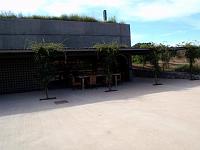 Terra Remota 06