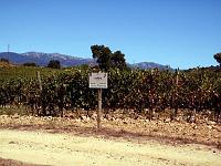 Terra Remota 09