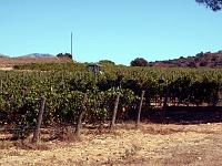Terra Remota 11