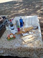 Terra Remota 13