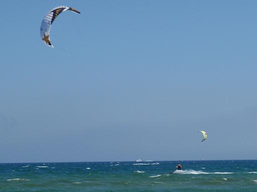 Kite 8
