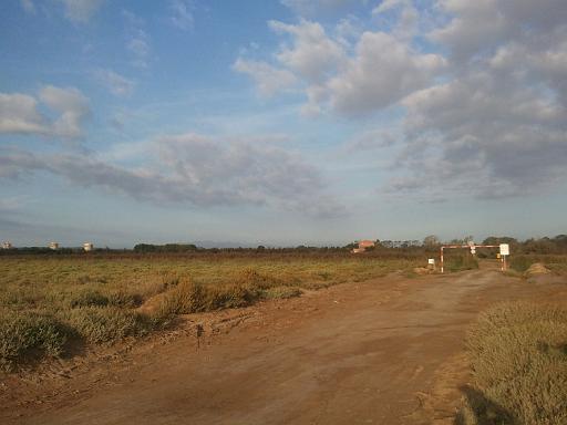 Strand 1