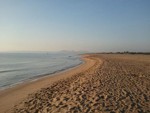 Strand 7
