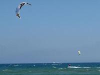 Kite 8