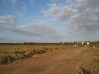 Strand 1