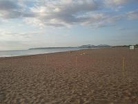 Strand 3
