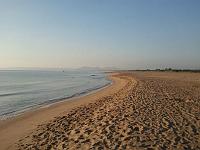 Strand 7